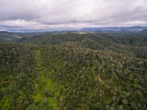 Aerial View Across Madagascar | Luxury Madagascar Holidays | The Ultimate Travel Company