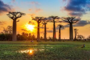 Simply Madagascar | The Ultimate Travel Company
