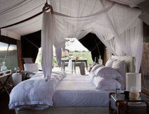 Singita Mara River Tented Camp, Tanzaniai | Ultimate Travel Co