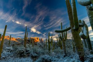 Sonoran Desert | Luxury USA Holidays | The Ultimate Travel Company