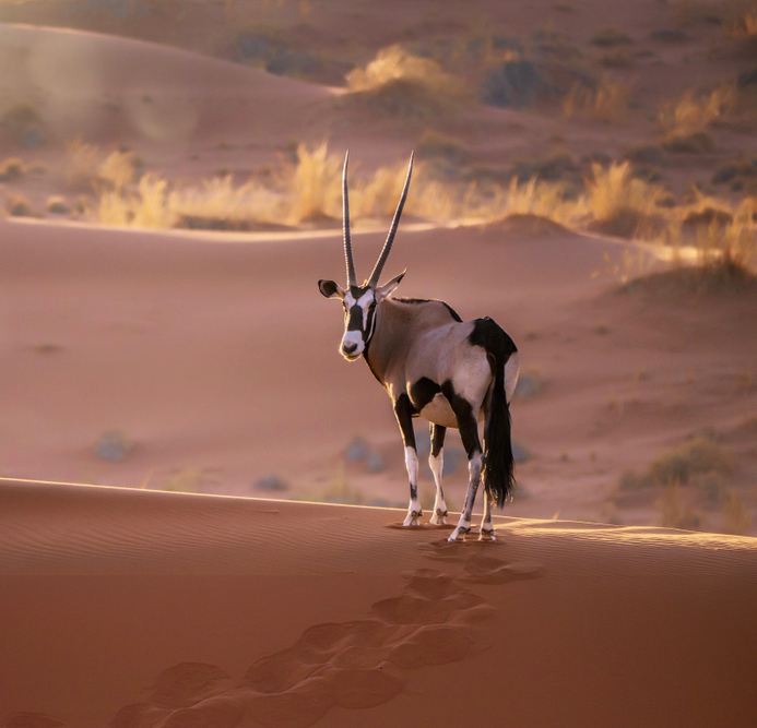 Namibia | Africa | Ultimate Travel Company