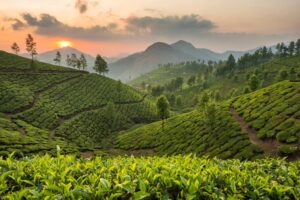 View Across the Tea Fields and Mountain Landscapes of Sri Lanka | Luxury Sri Lanka Holidays | The Ultimate Travel Company