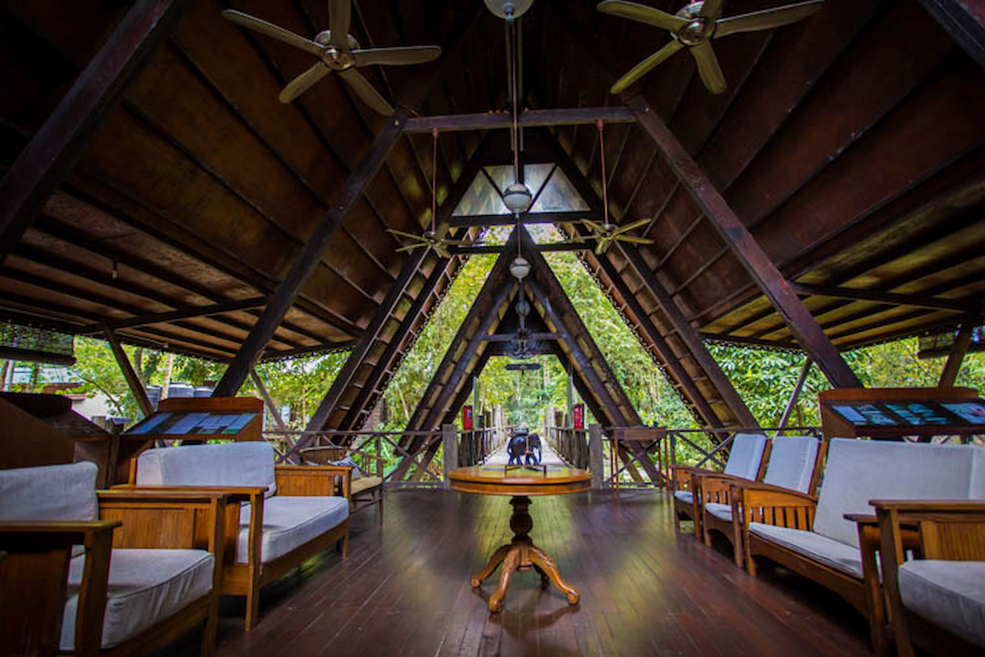 Sukau Rainforest Lodge, Kinabatangan River | Ultimate Travel Co