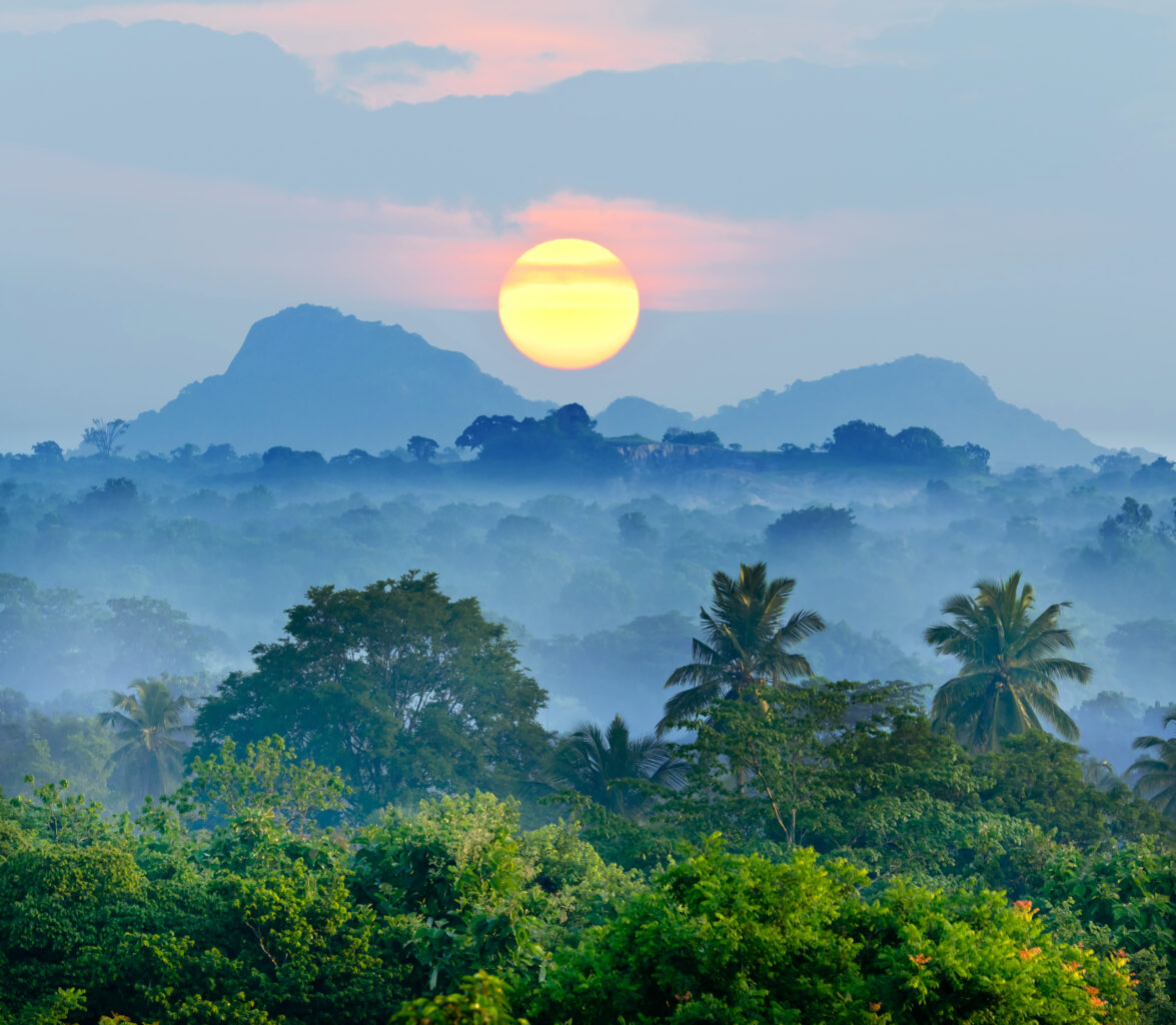 The Sun Rising in the Jungles | Sri Lanka Holidays | The Ultimate Travel Company