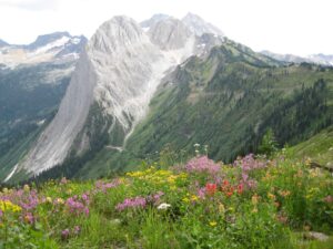 Grizzly Bear Ranch, Selkirk Mountains | The Ultimate Travel Company