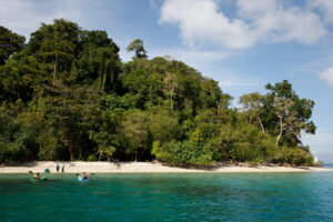 Taj Exotica Resort & Spa, The Andaman Islands | India | group of people are kayaking | The Ultimate Travel Company