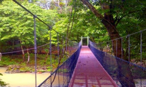 Tabin Wildlife Resort, Sabah | Ultimate Travel Co