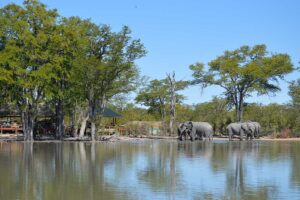 Taryn-web-photos2015-460