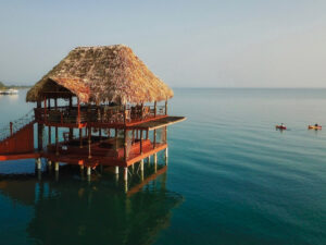 The Lodge At Jaguar Reef, Hopkins | Ultimate Travel Co