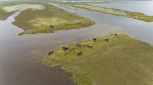 The Pavilions Himalayas Lake View, Pokhara | Ultimate Travel Co