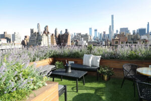 The Surrey, New York | Ultimate Travel Co