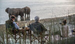 Elephants at Tiger Tops Tharu Lodge | Luxury Nepal Holidays | The Ultimate Travel Company
