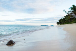 Tokoriki Island Resort | The Ultimate Travel Company