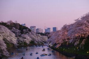 Japan | Ultimate Travel Company