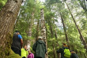 Ocean House, Haida Gwaii | The Ultimate Company