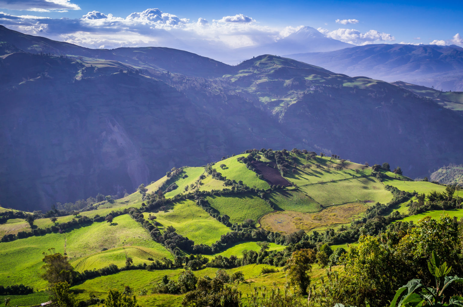 Tren Crucero | Ecuador | Ultimate Travel Company