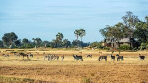 Xigera Safari Lodge | Botswana | Ultimate Travel Company