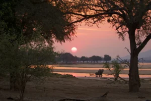 Sunsetting Across Zimbabwe Landscape | Luxury Zimbabwe Holidays | The Ultimate Travel Company