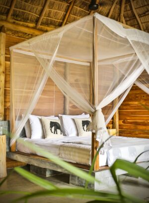 Bedroom in Gal Oya Lodge | Sri Lanka Holidays | The Ultimate Travel Company