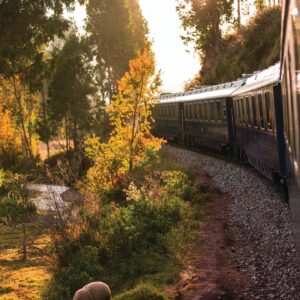 Beautiful Exterior of the Belmond Train Hiram Bingham Train to Macchu Picchu | Peru | The Ultimate Travel Company