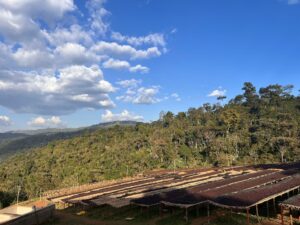 Coffee Plantations | Luxury Ethiopia Holidays | The Ultimate Travel Company