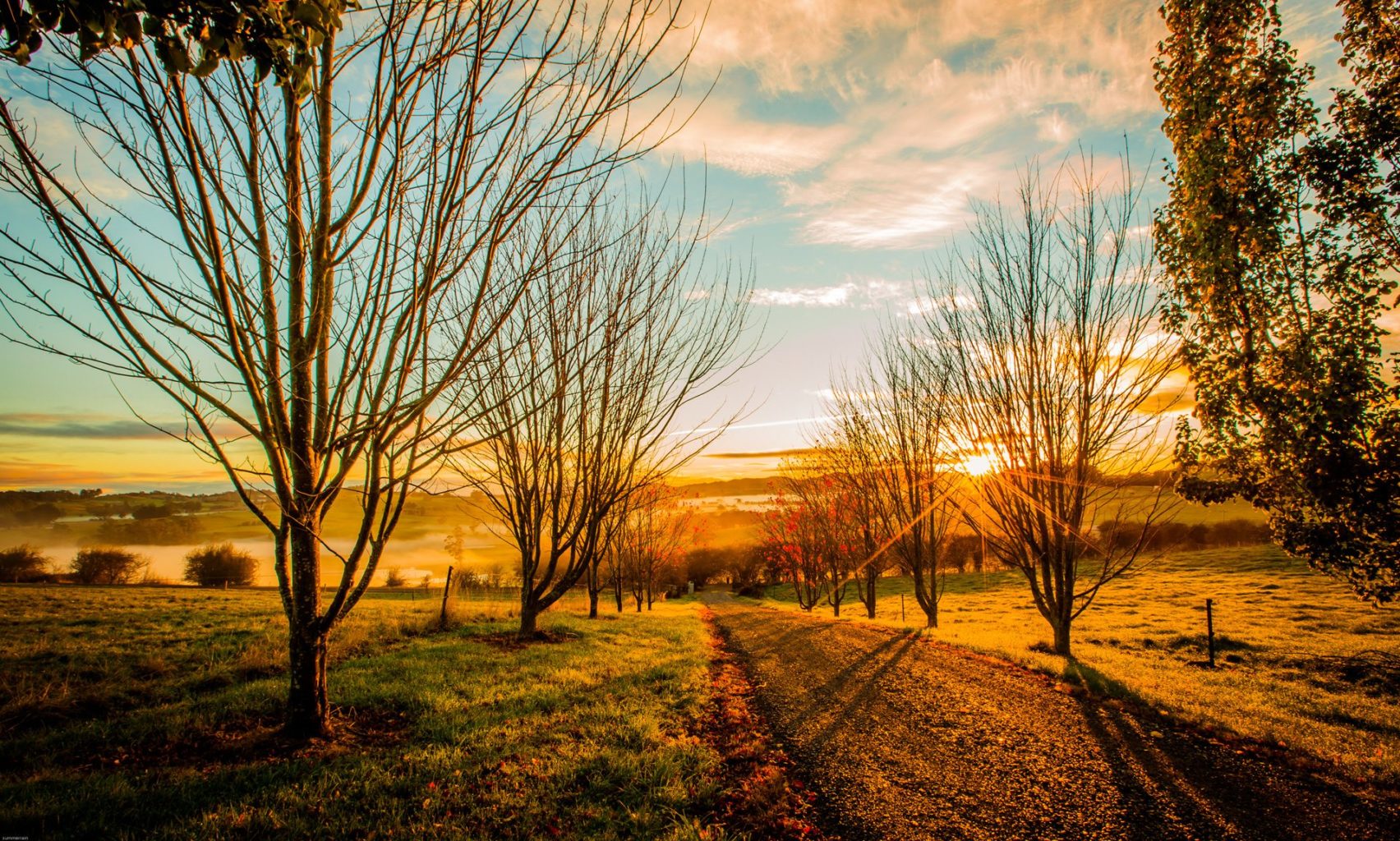 Eagles Nest Retreat | Australia | Forest | The Ultimate Travel Company