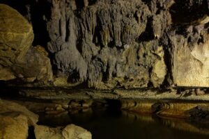 Glow Worm Caves | New Zealand Holidays | The Ultimate Travel Company