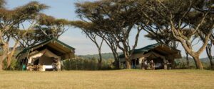 Sanctuary Ngorongoro Crater Camp, Ngorongoro | The Ultimate Travel Company