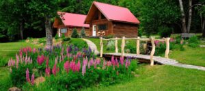 Tweedsmuir Park Lodge, Bella Coola | The Ultimate Travel Company