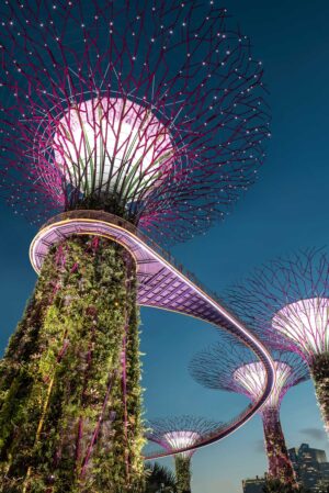 Super Tree Grove at Night | Singapore | The Ultimate Travel Company