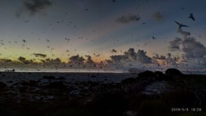 Bird Island, Seychelles | Indian Ocean | Ultimate Travel Company