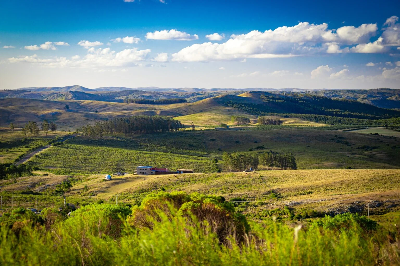 Rolling Vineyards | Luxury Uruguay Holidays | The Ultimate Travel Company