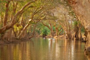 Shompole Wilderness, Shompole Conservancy | Kenya | kayaking | The Ultimate Travel Company