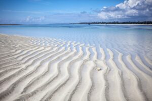 White-Sand Private Beach at Kinondo Kwetu | Luxury Kenya Holidays | The Ultimate Travel Company