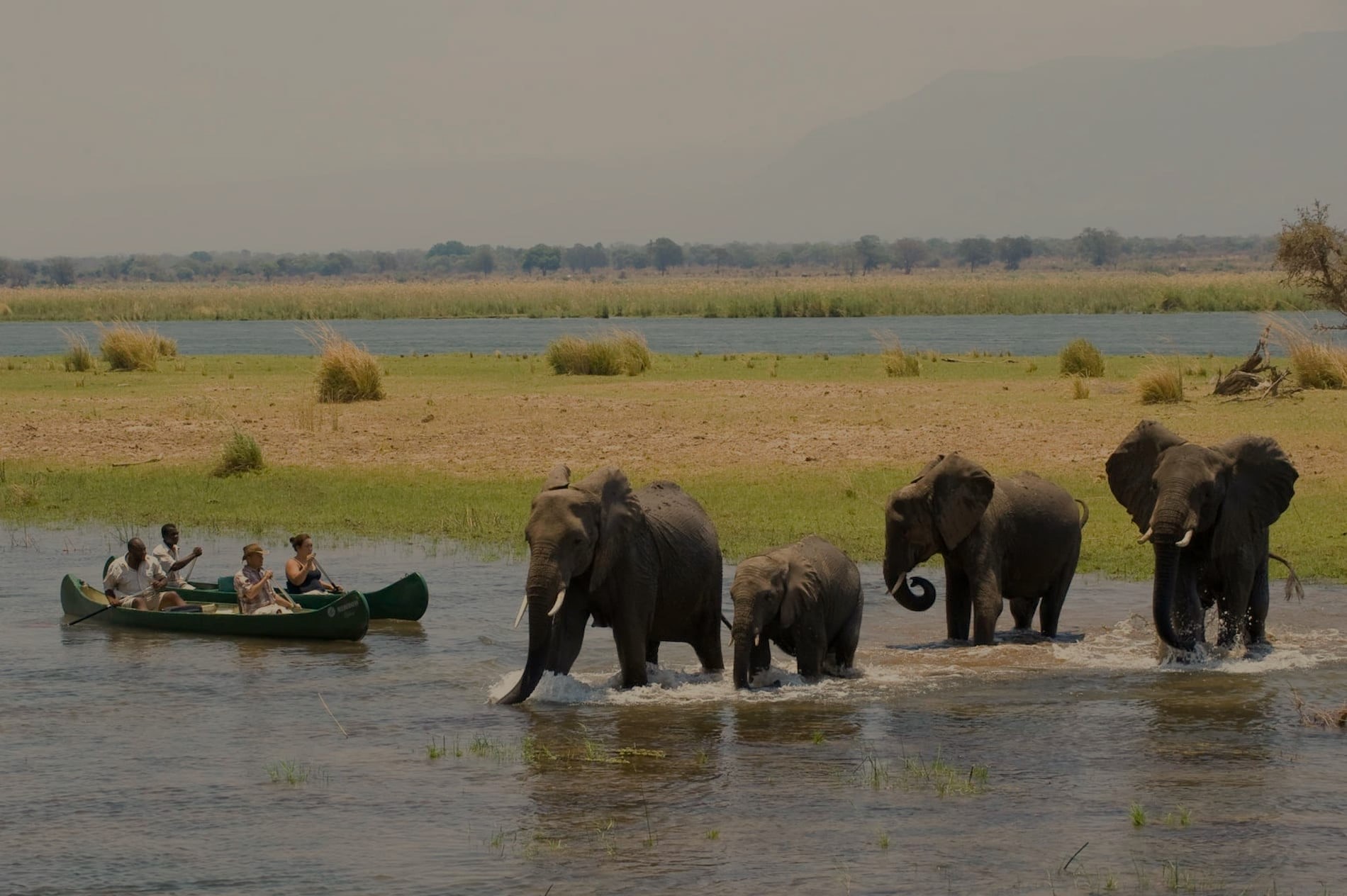 Elephant Herd Seen on Canoe Safari | Luxury Zimbabwe Holidays | The Ultimate Travel Company