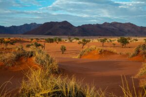 Namib Desert | Luxury Namibia Holidays | The Ultimate Travel Company
