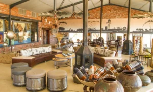 Okonjima Plains Camp, Central Highlands | The Ultimate Travel Company