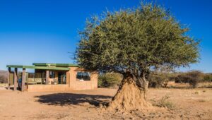 Okonjima Plains Camp, Central Highlands | The Ultimate Travel Company