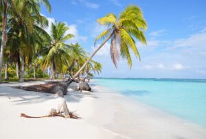Golden Sand Beach and Palm Trees | Luxury Panama Holidays | The Ultimate Travel Company
