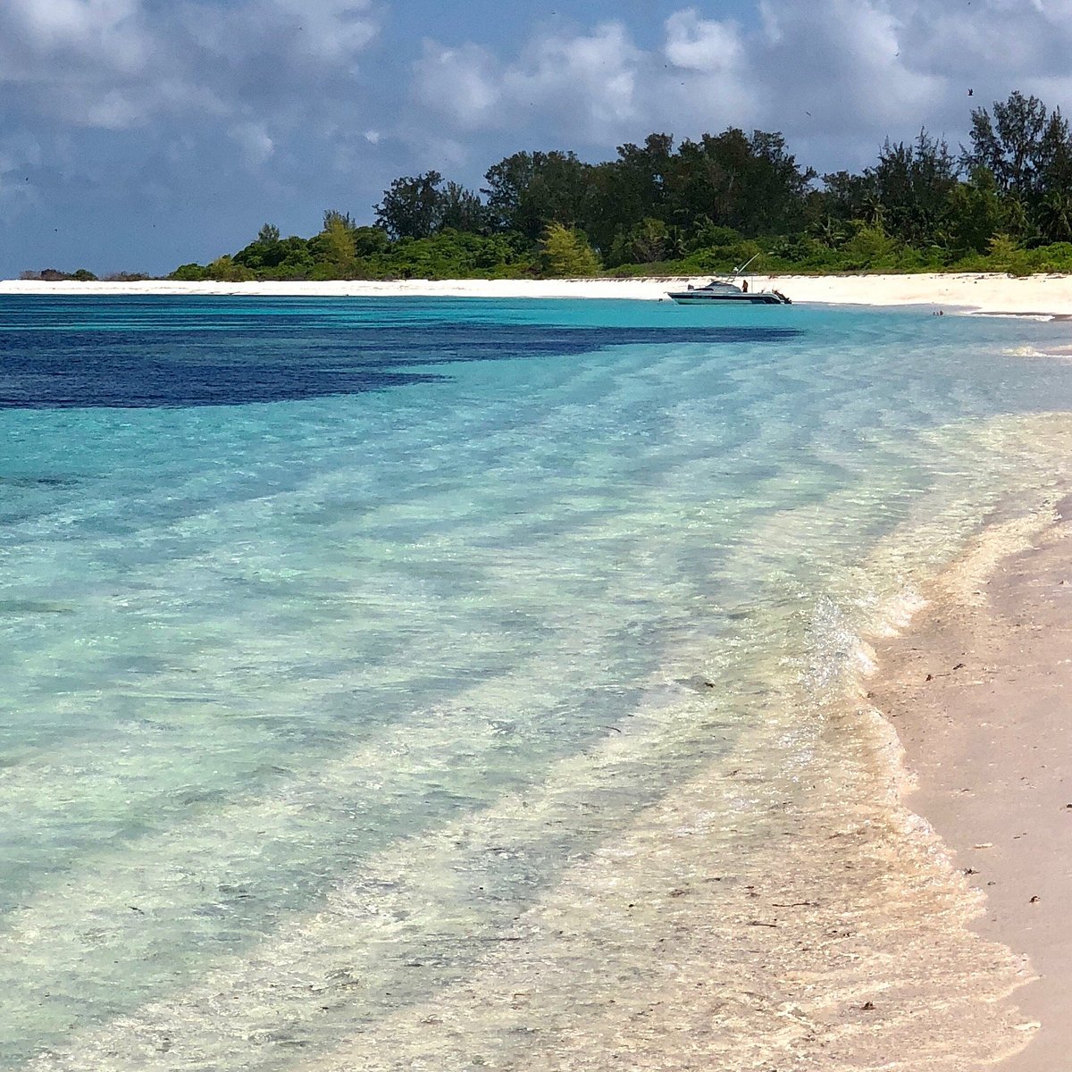 Bird Island Beach | Luxury Seychelles Holidays | The Ultimate Travel Company