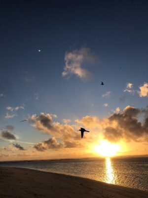 Bird Island, Seychelles | Indian Ocean | Ultimate Travel Company