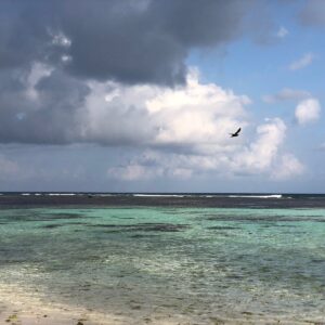 Bird Island, Seychelles | Indian Ocean | Ultimate Travel Company