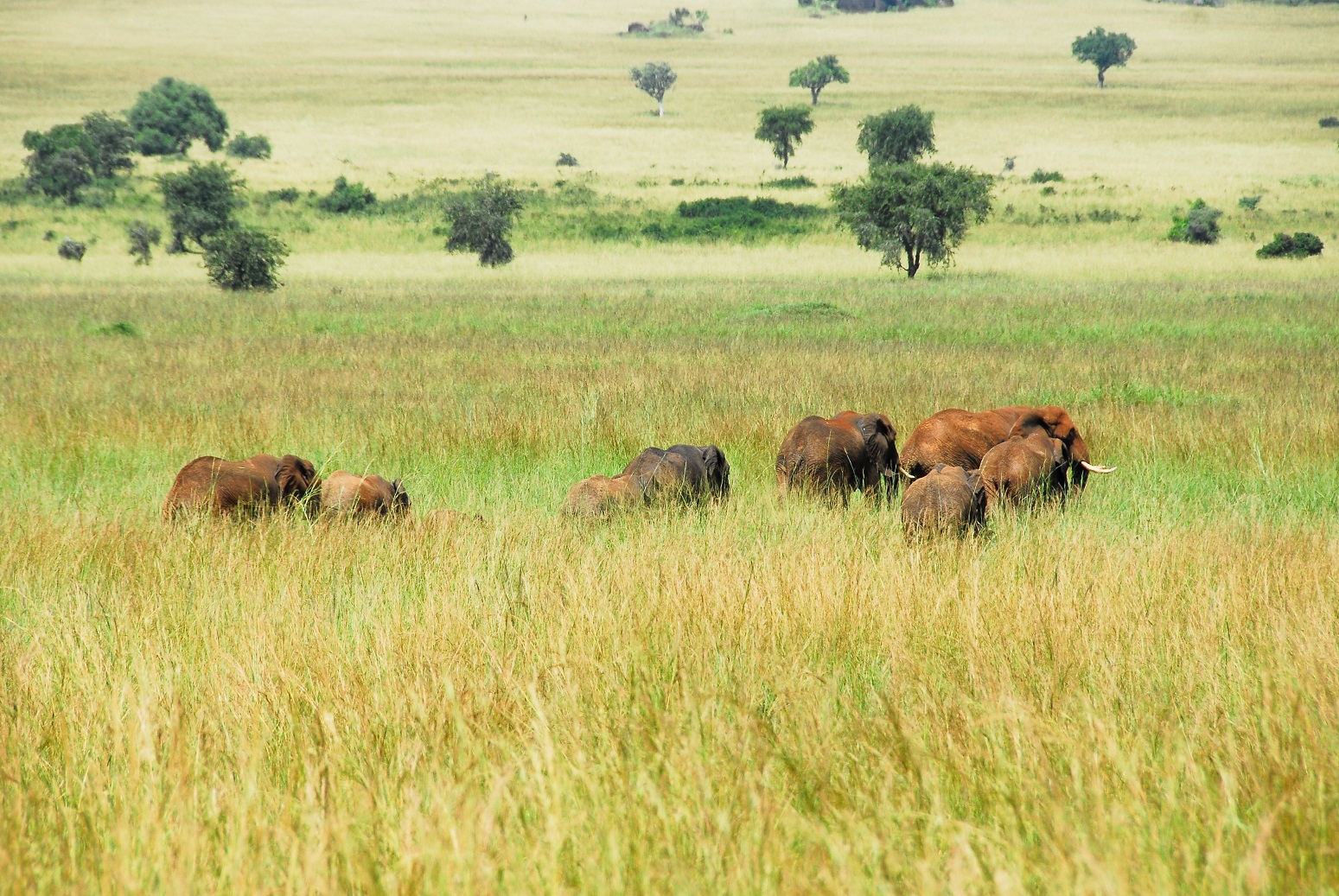 Kidepo Valley National Park | Luxury Uganda Holidays | The Ultimate Travel Company