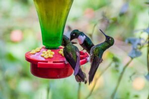 Coffee Region | Ultimate Travel Company