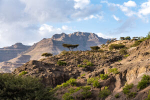 Aerial View of Ethiopia Landscape | Luxury Ethiopia Holidays | The Ultimate Travel Company