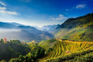 View Across the Western Ghats | India Holidays | The Ultimate Travel Company