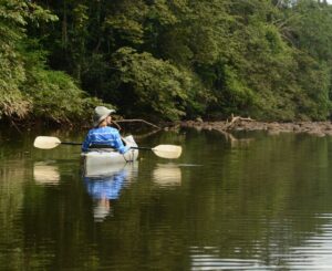 A Person Kayaking Along Macal River | Luxury Belize Holidays | The Ultimate Travel Company