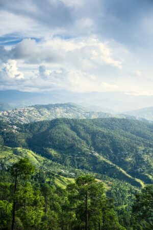 Chitai | Luxury India Holidays | The Ultimate Travel Company