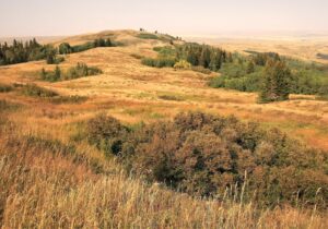 Cypress Hills | Luxury Canada Holidays | The Ultimate Travel Company