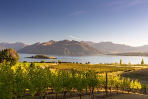 Wanaka | New Zealand Holidays | The Ultimate Travel Company